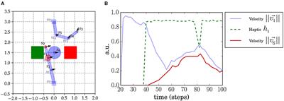 Distinguishing Self, Other, and Autonomy From Visual Feedback: A Combined Correlation and Acceleration Transfer Analysis